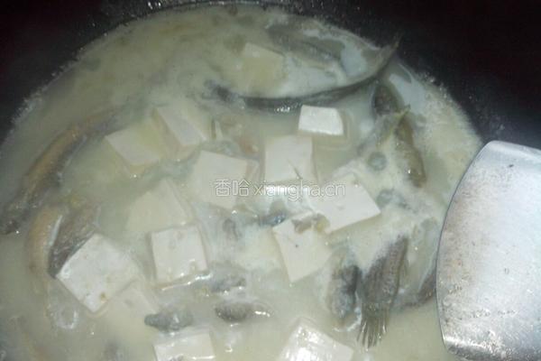 泥鳅炖豆腐汤的做法图解6