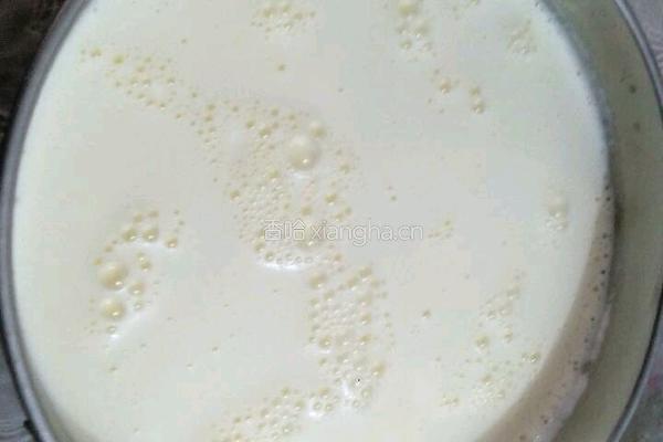 香浓奶油冰淇淋的做法图解7