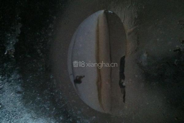 麻辣腌黄瓜的做法图解6