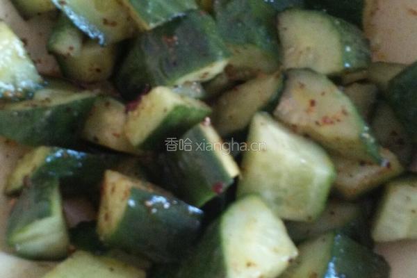麻辣腌黄瓜的做法图解10