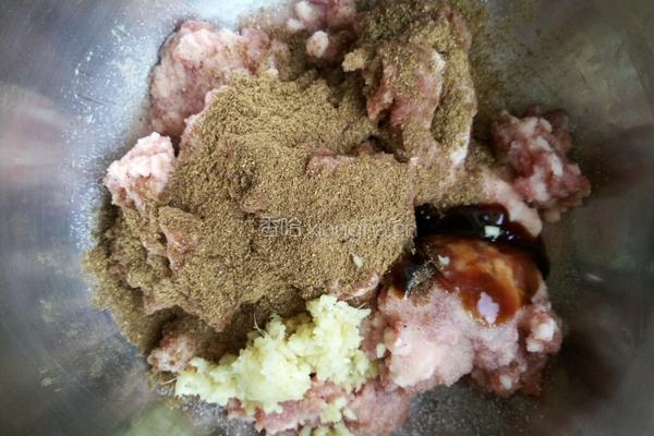 猪肉茴香饺子的做法图解7