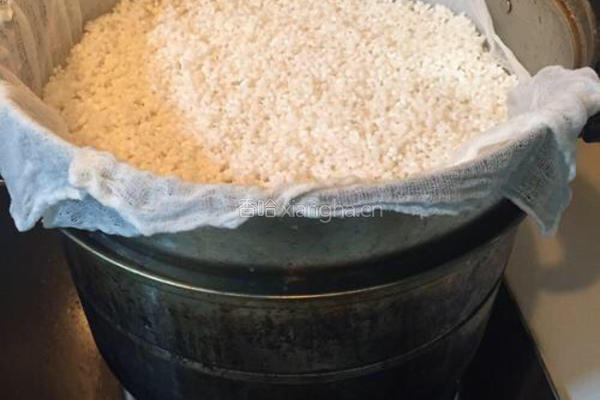 甜酒酿的做法图解5