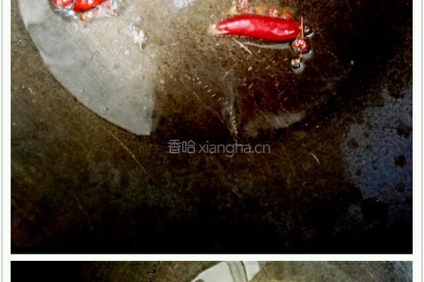 水煮肉的做法图解4
