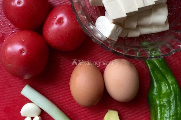 家常蕃茄鸡蛋炖豆腐的做法图解1