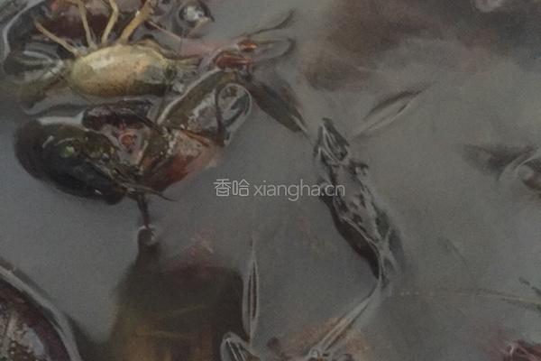 ?简易小龙虾的做法图解1