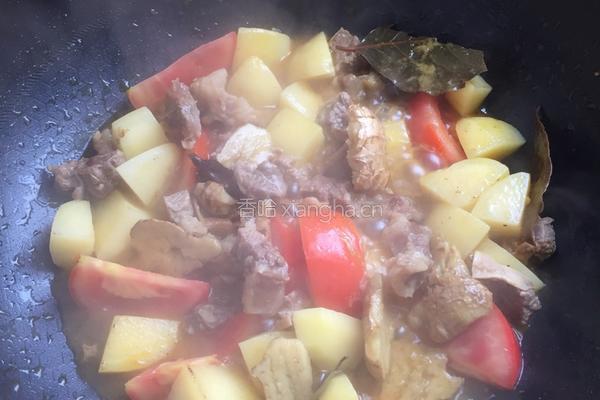 西红柿土豆烧牛肉的做法图解5