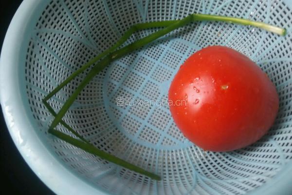 紫菜西红柿鸡蛋虾皮汤的做法图解1