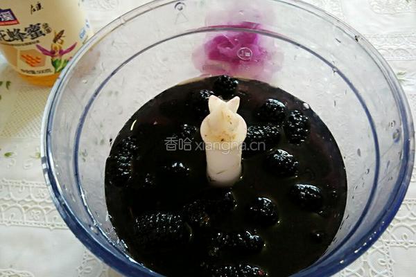 桑葚汁的做法图解3
