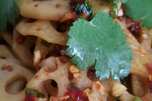 秘制凉拌麻辣藕片的做法图解8