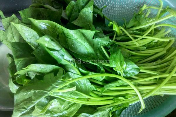 鸡蛋炒菠菜的做法图解1