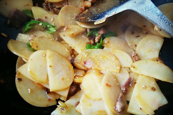 土豆片炒肉的做法图解10