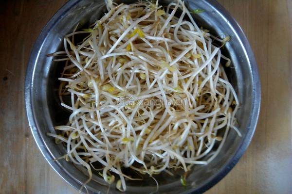 醋溜绿豆芽的做法图解1