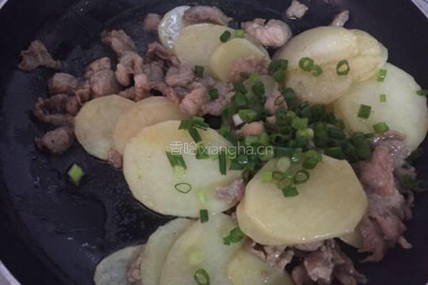 土豆片炒肉的做法图解8