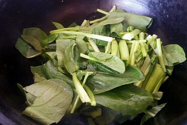 小白菜炖豆腐的做法图解3