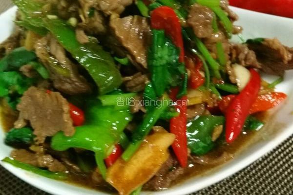 小炒黄牛肉的做法图解7