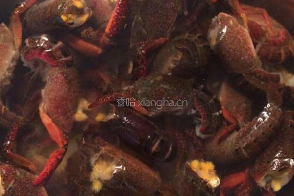 鲜煮小龙虾的做法图解1