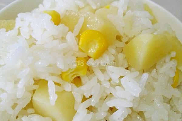 电饭煲骨汤土豆焖饭的做法图解5