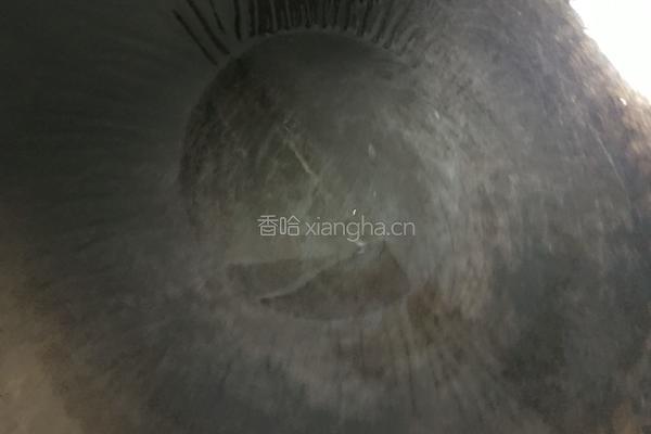 清炒山药的做法图解6
