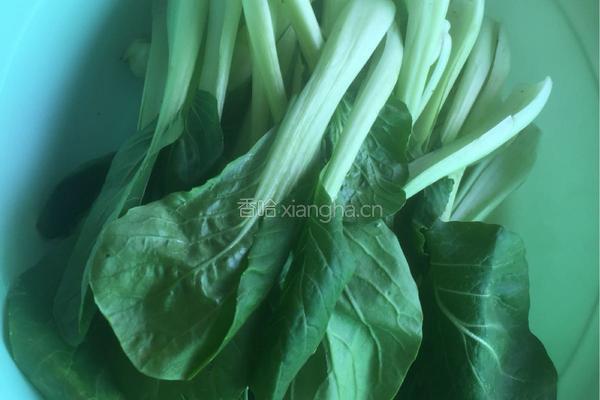 蒜蓉小油菜的做法图解1
