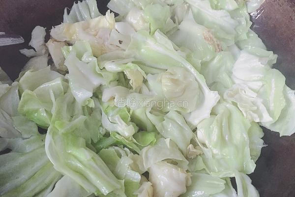 清炒包心菜的做法图解4