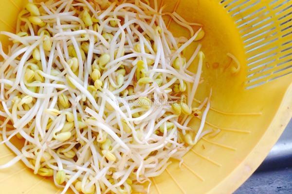 肉炒黄豆芽的做法图解1