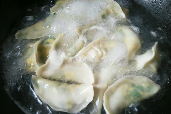 海米韭菜鸡蛋水饺的做法图解11