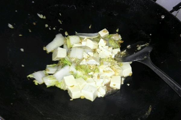 白菜炒豆腐的做法图解5