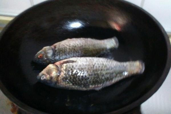 清炖鲫鱼汤的做法图解2