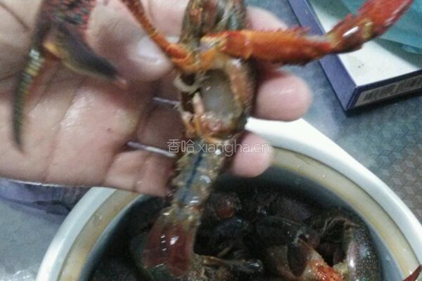 家常小龙虾的做法图解2