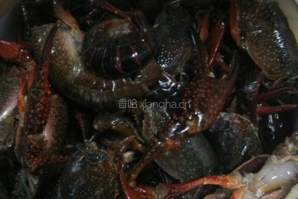 家常小龙虾的做法图解3