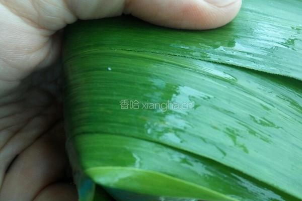 粽子的做法的做法图解5