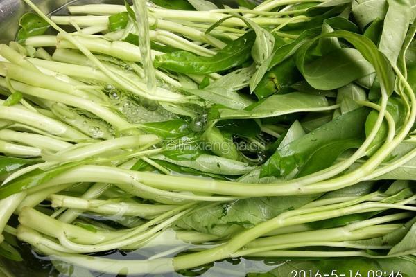 虾酱炒通菜的做法图解1