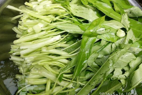 虾酱炒通菜的做法图解3