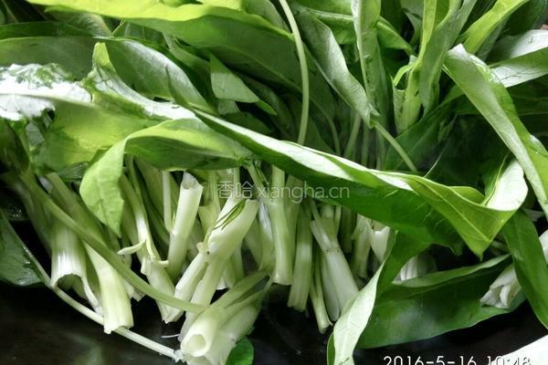 虾酱炒通菜的做法图解5