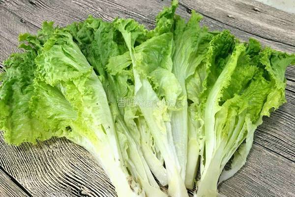 蒜茸蚝油炝生菜的做法图解1