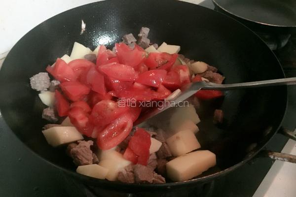 土豆牛腩煲的做法图解9