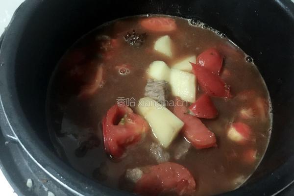 西红柿牛腩的做法图解10