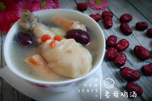 老母鸡汤的做法图解11