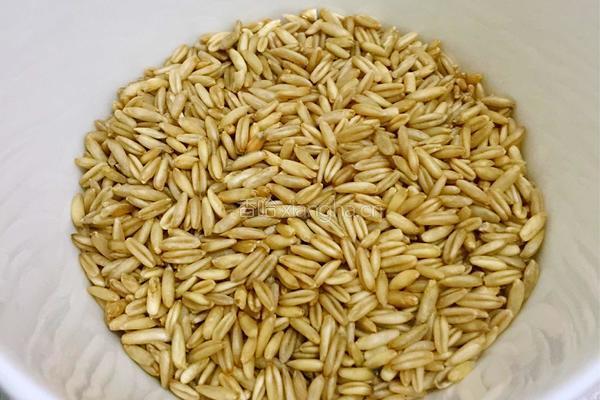 牛奶燕麦红豆粥的做法图解2