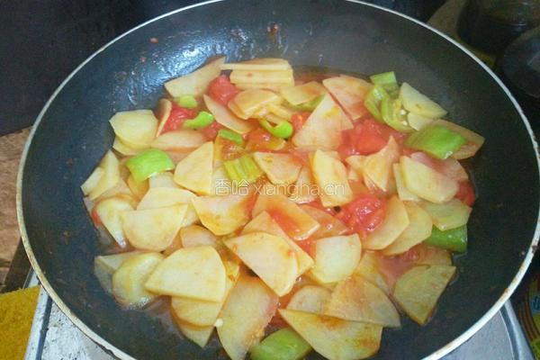 西红柿土豆片的做法图解7