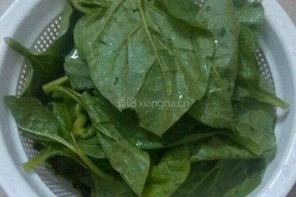 蒜香木耳菜的做法图解1