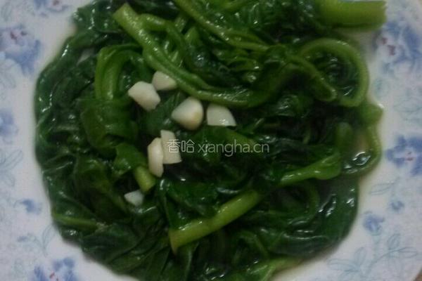 蒜香木耳菜的做法图解4