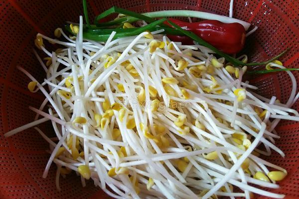 凉拌豆芽的做法图解2