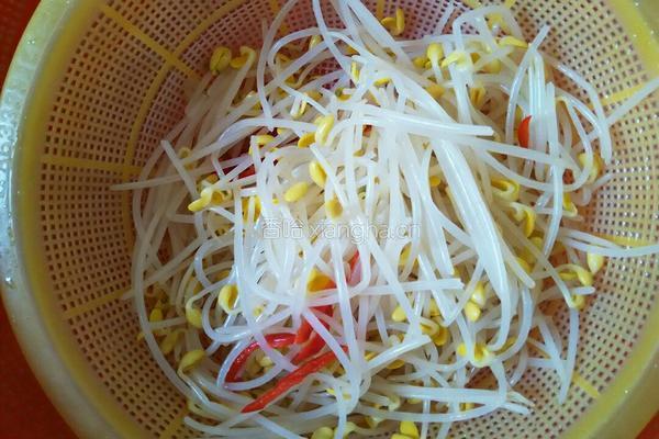 凉拌豆芽的做法图解6