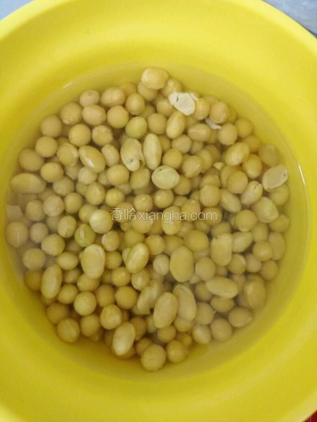 黄豆用水泡一晚上