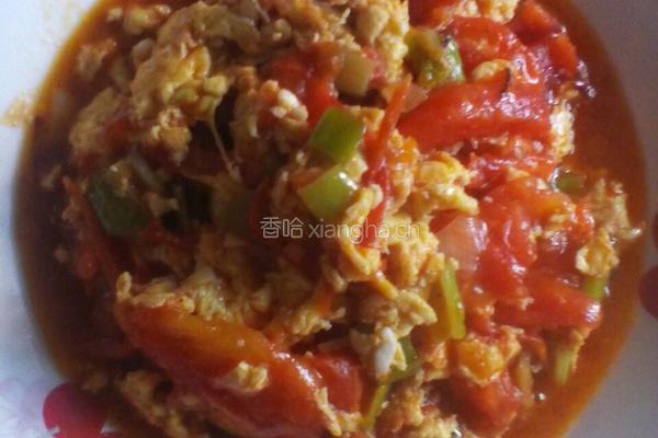 西红柿炒蛋