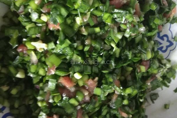 羊肉饺子馅的做法图解4