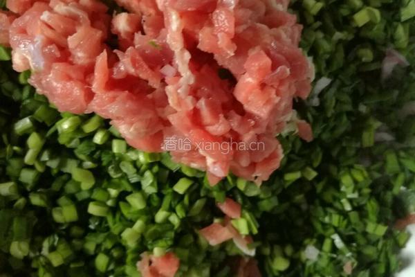 羊肉饺子馅的做法图解3