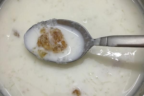 桃胶雪燕奶的做法图解4
