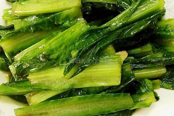 豉汁油麦菜的做法图解6
